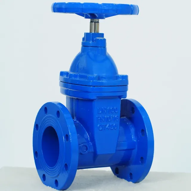 A Comprehensive Guide To Cast Iron Valves