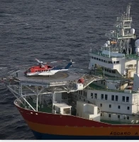 Durability with Concrete Weight Coating Mesh 