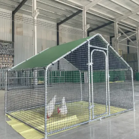 The Best Metal Cages-- Durable, Stylish, And Functional