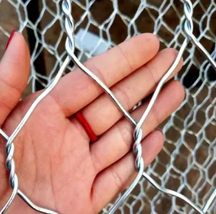 Versatile Applications of Hexagonal Gabion Mesh