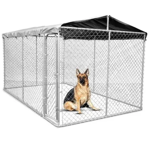 The Importance of Dog Kennels in Protecting Pets