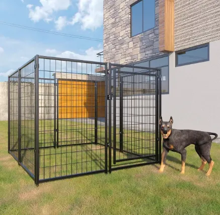 The Best Dog Kennels for Your Furry Friend