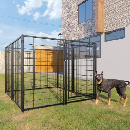 Finding the Best Dog Kennels for Your Pet's Comfort and Safety