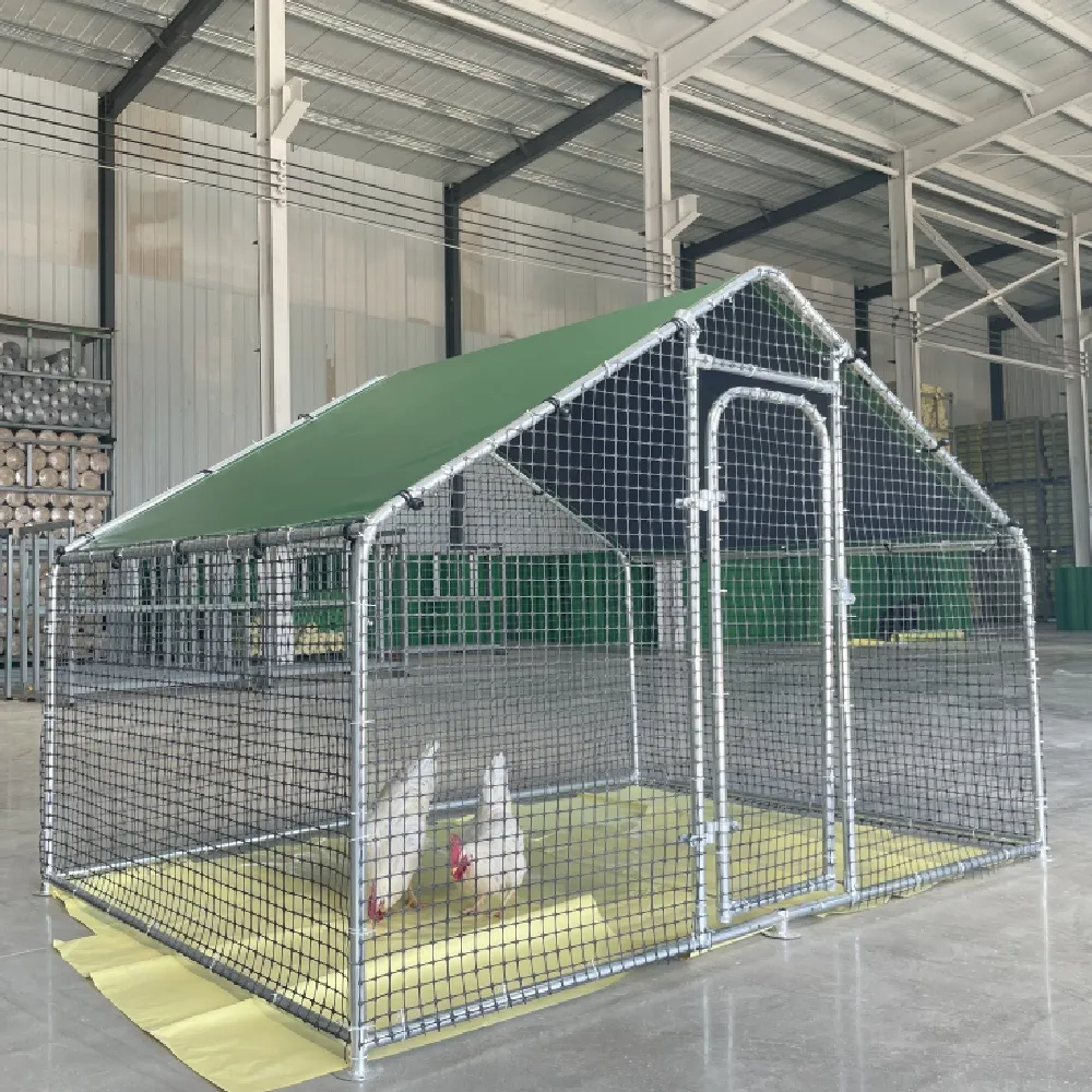 Chicken Cage