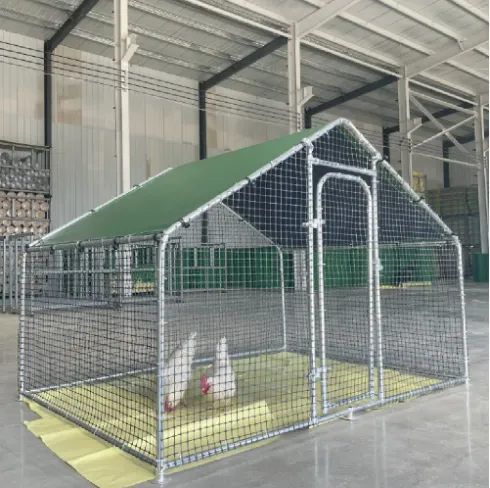 Best Steel Cages For Sale