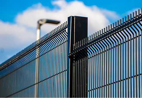 cattle fence barbed wire