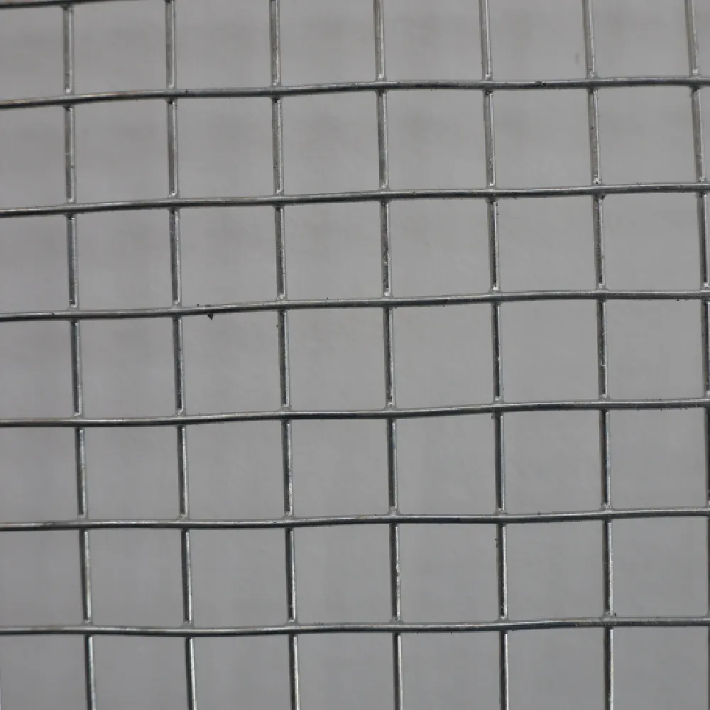 Electro Galvanized Welded Wire Mesh – Strong, Rustproof