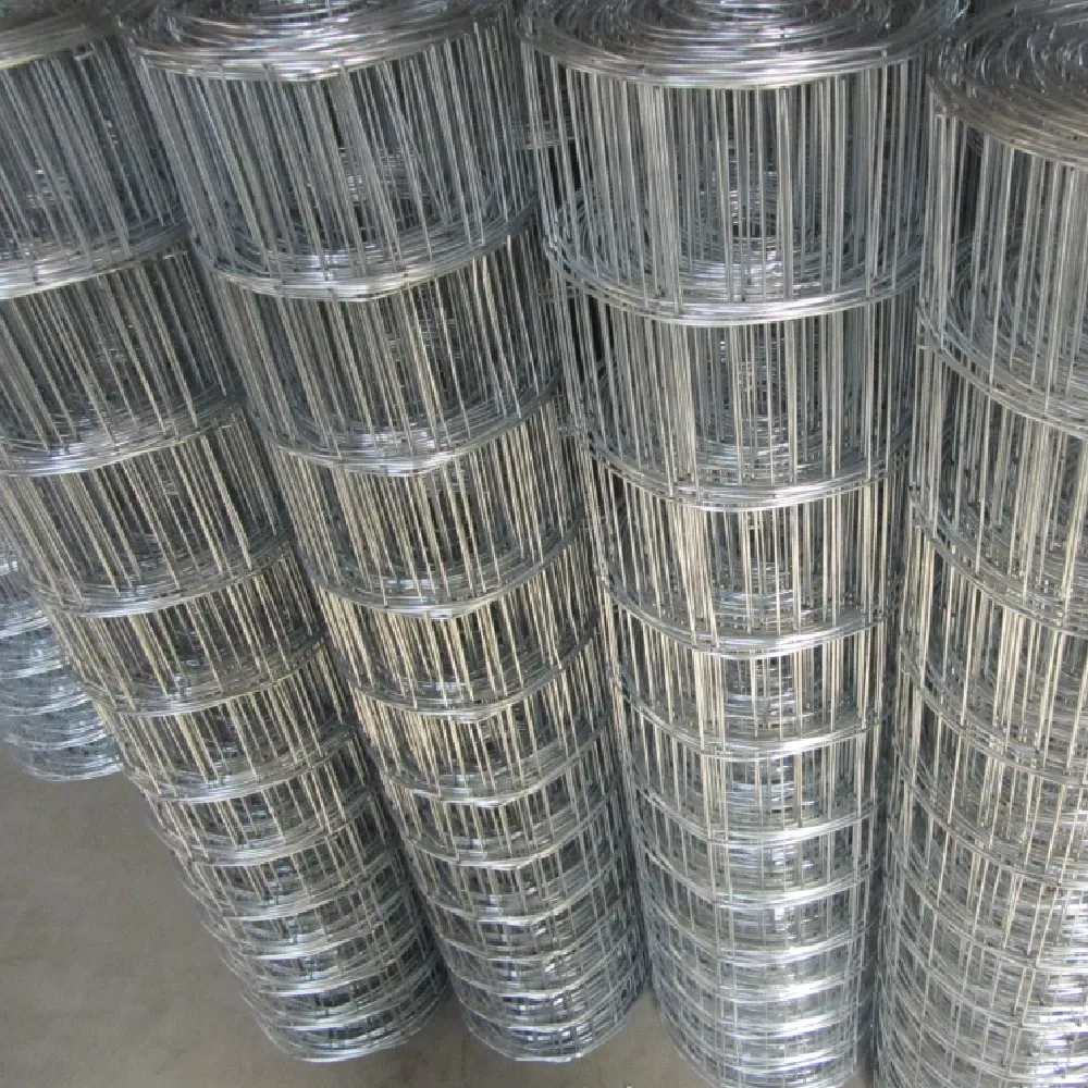 Electro Galvanized Welded Wire Mesh – Strong, Rustproof