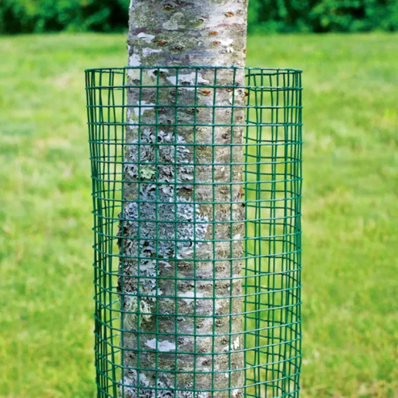 PVC Coated Welded Wire Mesh - Durable, Rustproof Fencing