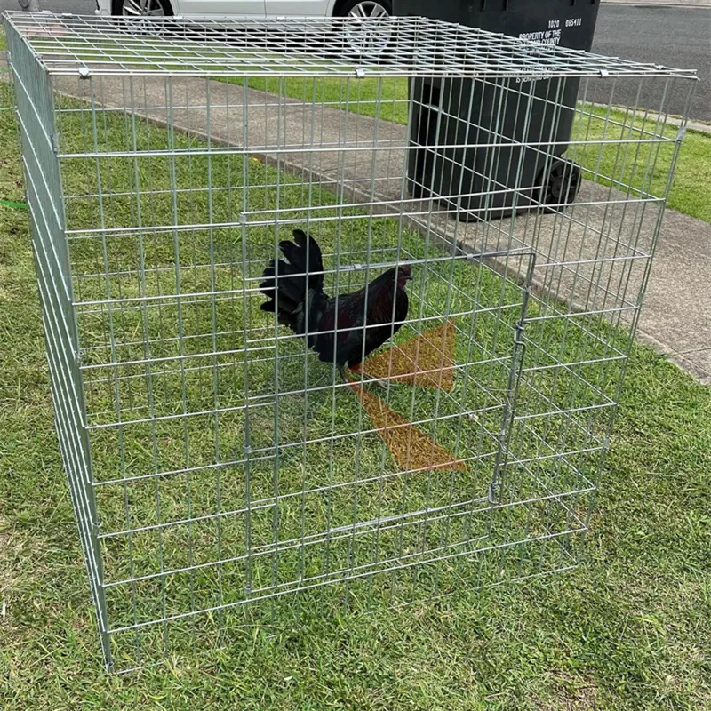 سياج من الأسلاك الشائكة