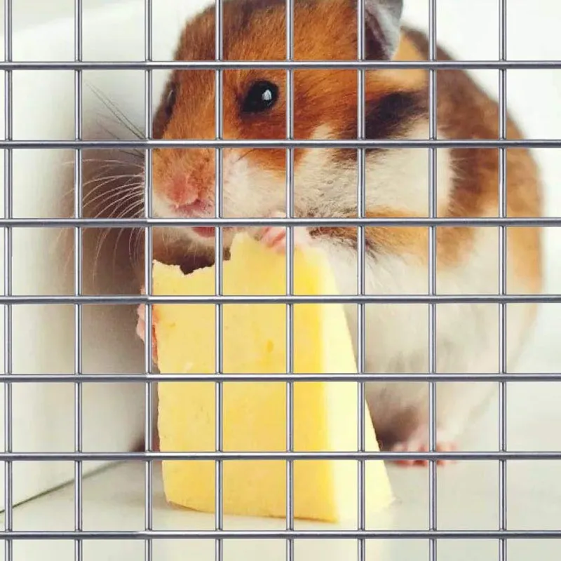 livestock windbreak panels livestock windbreak panels