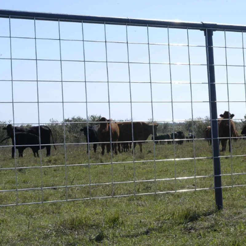 driveway chain link fencing