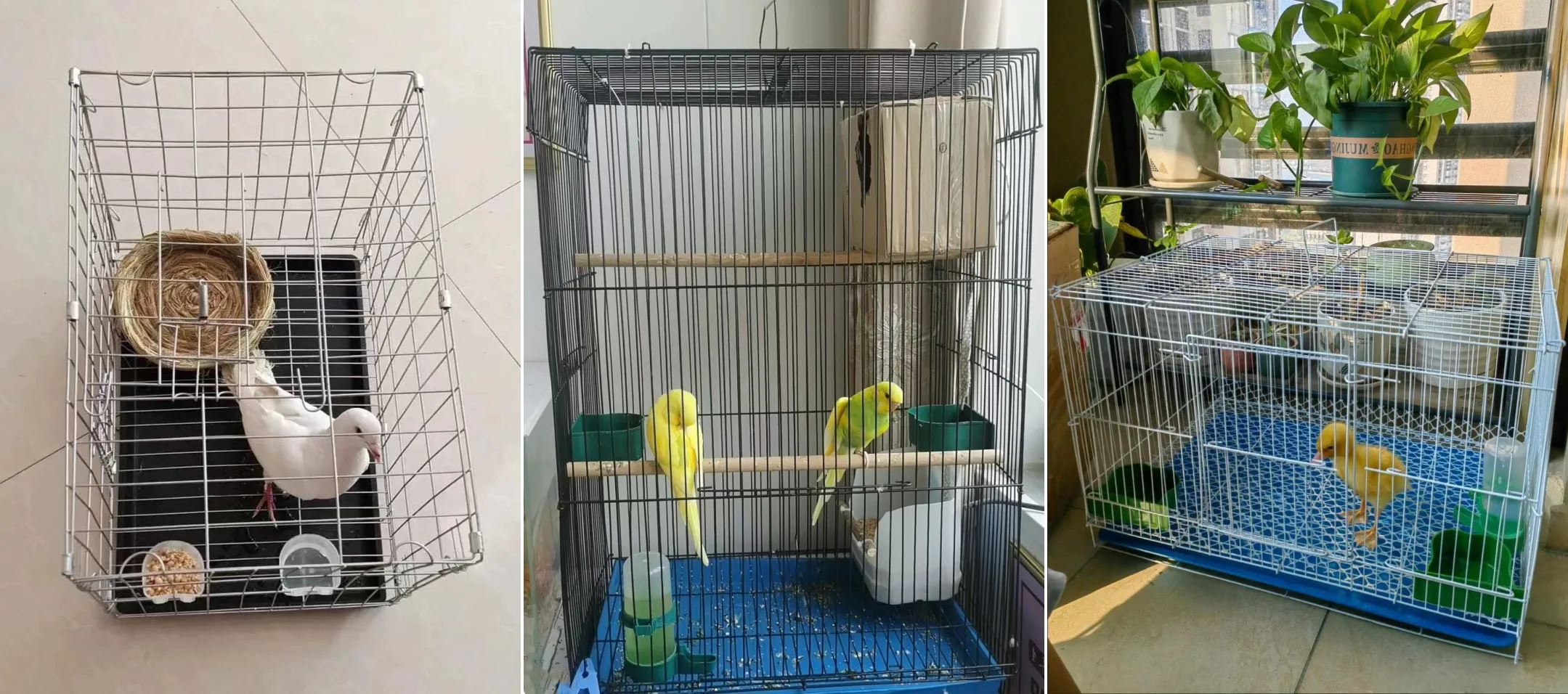 garden wire netting garden wire netting