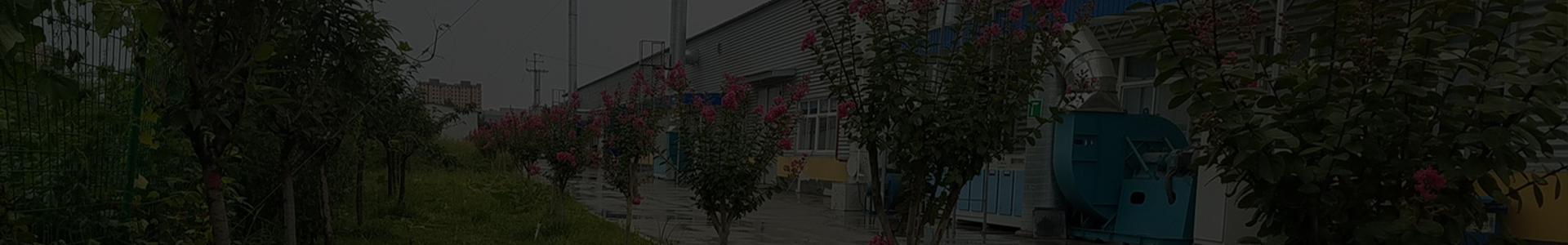 gumboots safety boots