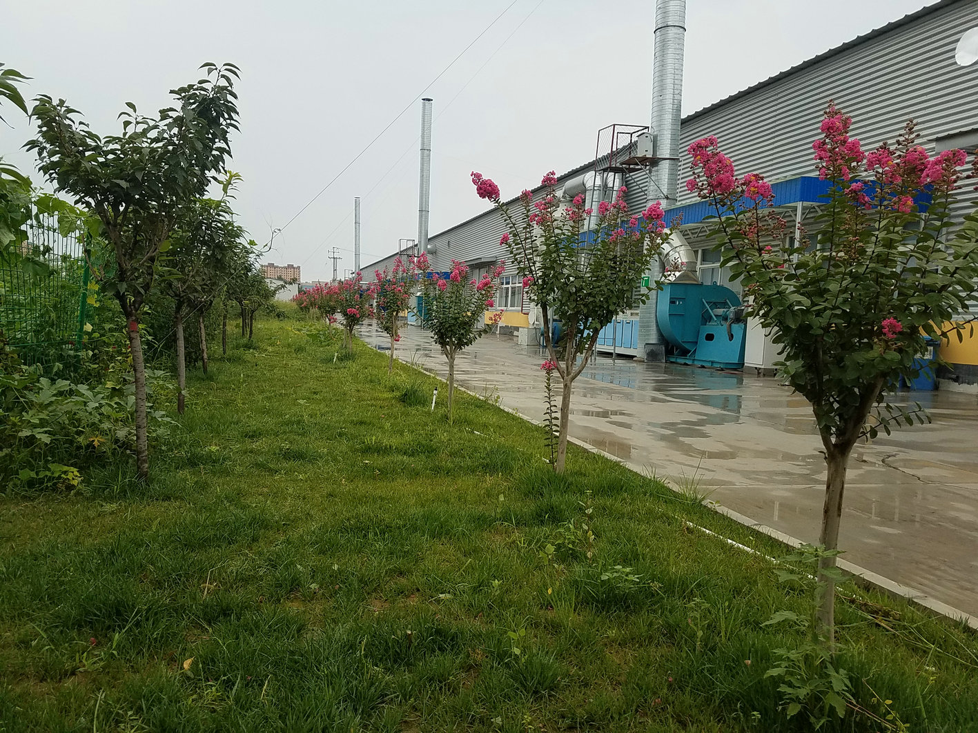 Insulated Zippered Rubber Boots for Ultimate Comfort and Protection in Cold Weather Insulated Zippered Rubber Boots for Ultimate Comfort and Protection in Cold Weather