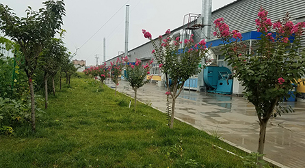 Read More About shoe company rain boots