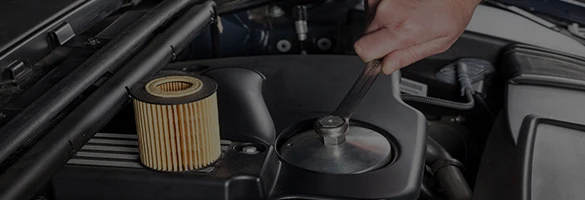 Rich Industry Experience