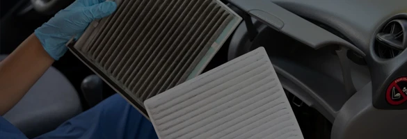 Strict Quality Control