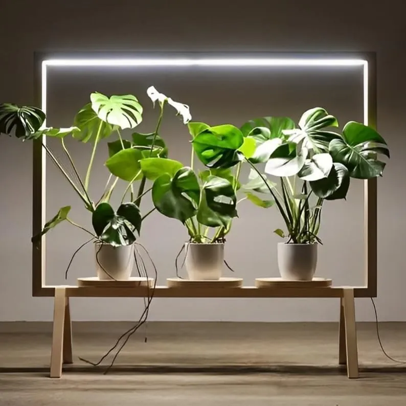 12V White Neon LED Strip Lights - 16.4FT Bendable Waterproof Cuttable, Flex Silicone Neon Rope Lights for Kitchen, Bedroom, Indoor Outdoor Decoration（No Adapter）