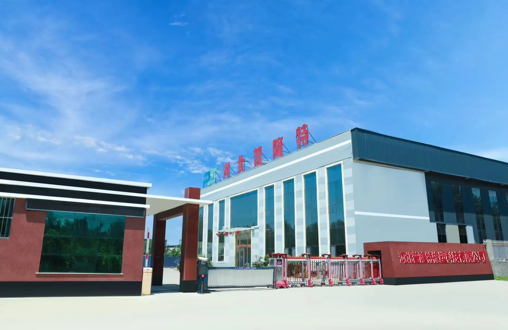 LED Neon Rope Light, 12V White Neon LED Strip Light, 16.4ft/5m Dimmable Waterproof Strip Lighting, Silicone DIY Sign for Bedroom Indoor Home Decor