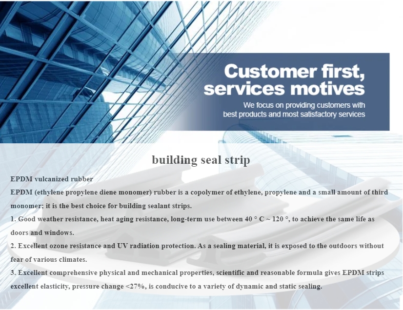 car molding trim strip products