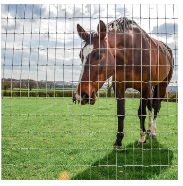 Farm Fence Wire for Livestock Protection