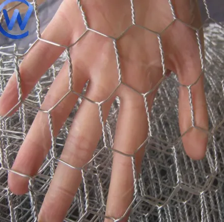 Durable Boundary Solutions: PVC Coated and Specialized Wire Mesh Fences