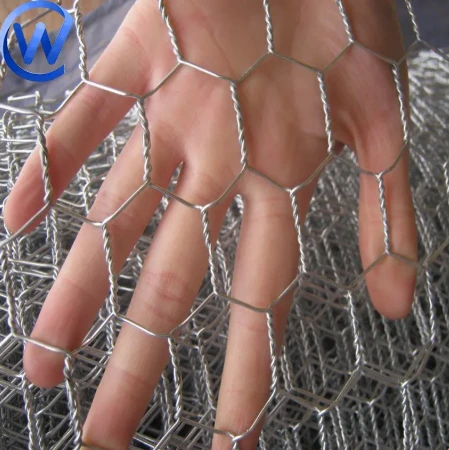 Unveiling the Diverse World of Wire Mesh Solutions