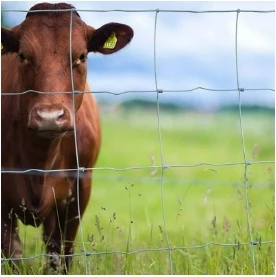 The application and importance of fencing mesh in animal husbandry