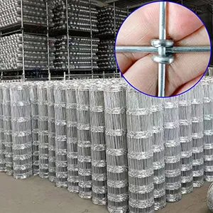 Durable and Premium Bird Cage Wire Mesh for Optimal Safety and Comfort