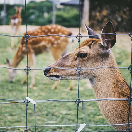 square wire fencing manufacturers