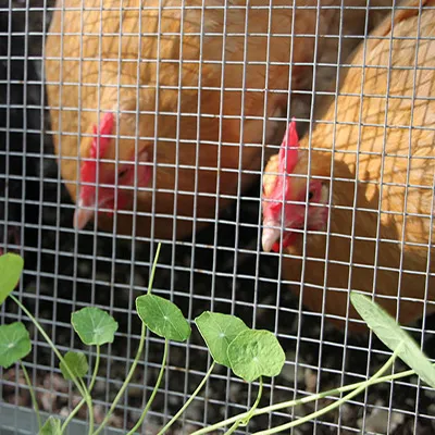 Steel Grating Manufacturing Insights into Production and Industry Trends