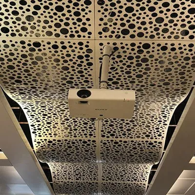 Perforated Metal Mesh