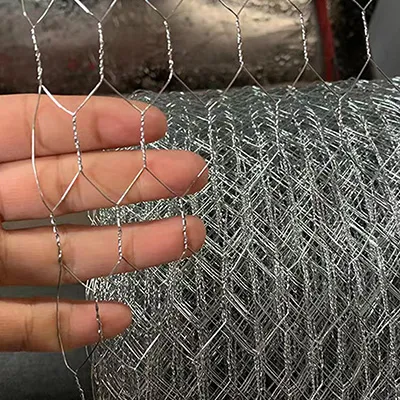 Galvanized/PVC Coated Hexagonal Wire Mesh