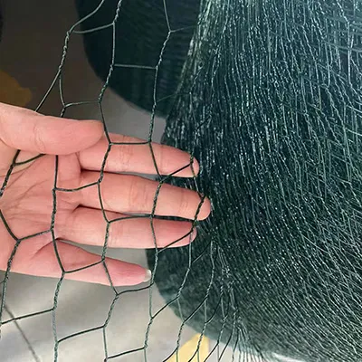 Galvanized/PVC Coated Hexagonal Wire Mesh