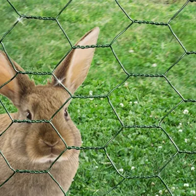 Galvanized/PVC Coated Hexagonal Wire Mesh