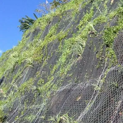 Galvanized/PVC Coated Hexagonal Wire Mesh