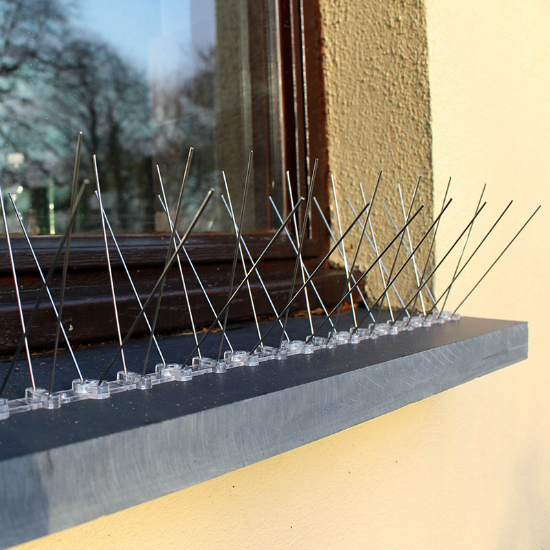 Anti Bird Spikes Exporter | Durable, Humane Bird Control Solutions