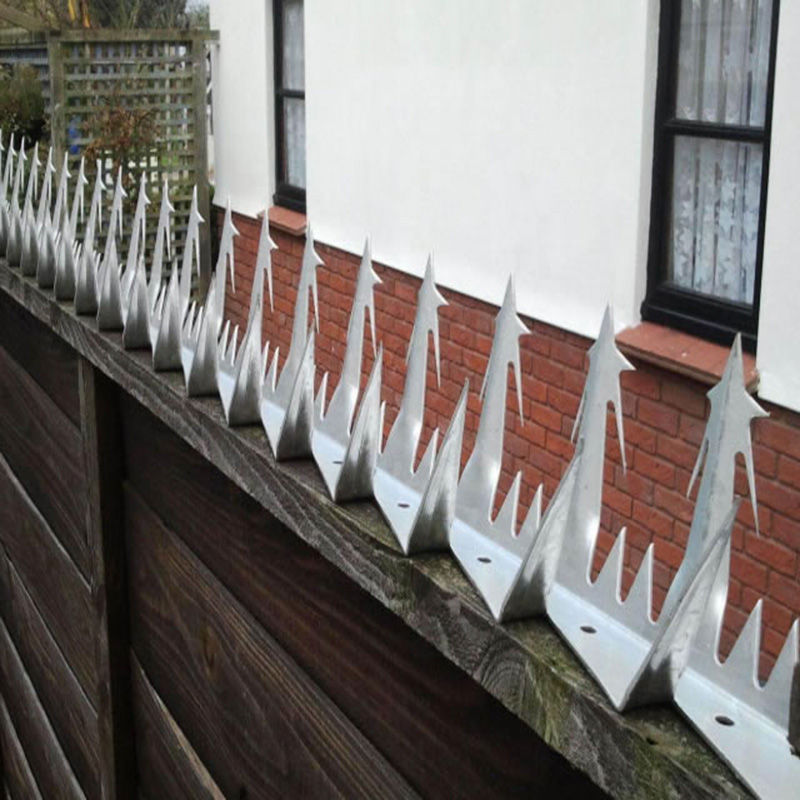 Hexagonal Galvanized Wire Mesh Production Facility Overview and Features