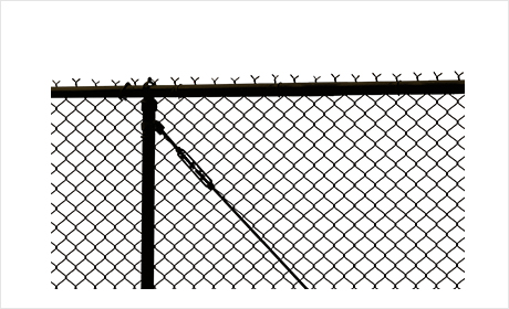 Unique Decorative Fences for Customizable Outdoor Spaces and Enhanced Curb Appeal