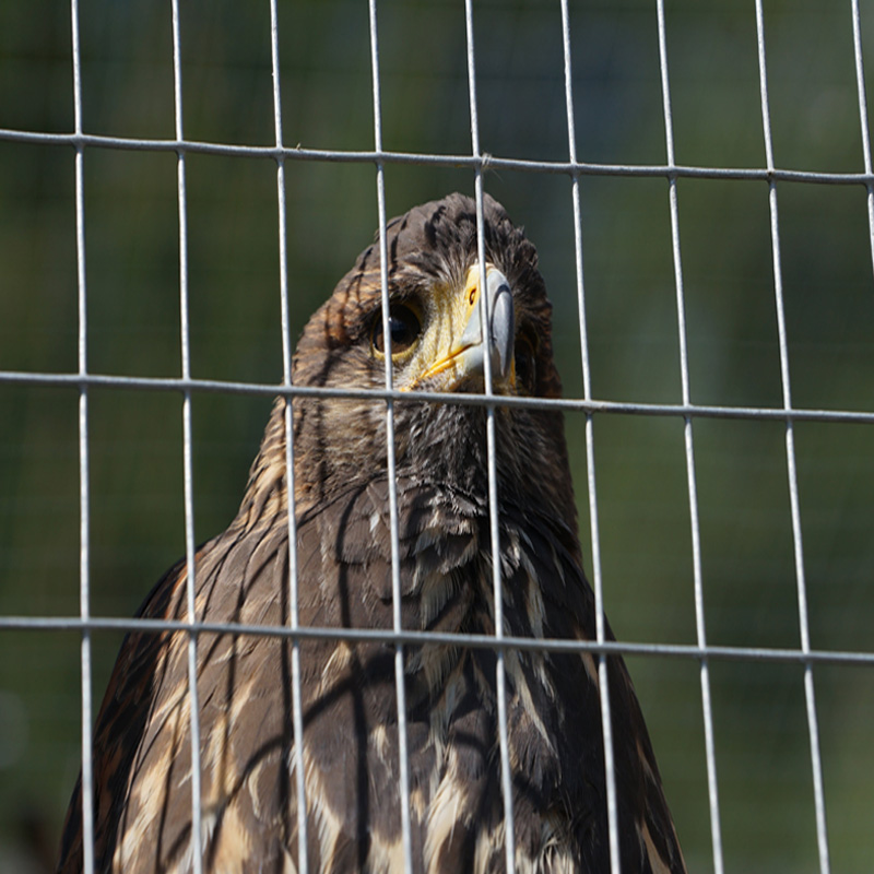 perforated iron sheet factories perforated iron sheet factories