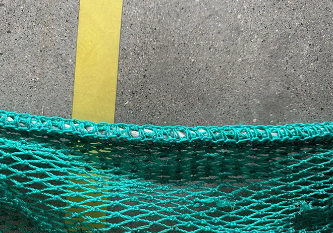 Read More About single needle sewing machine