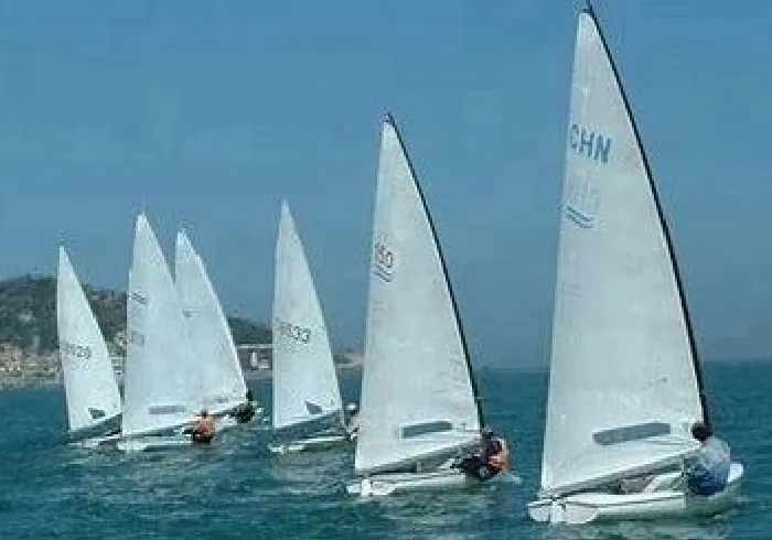 upholstery sewing machine for sale