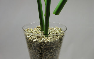 Bauxite Processing Plants and Their Role in Aluminum Production Industry