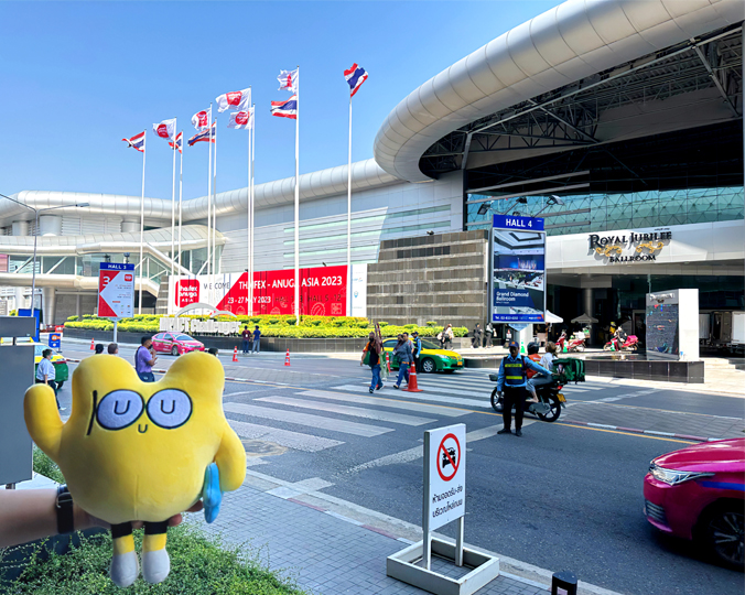 Review of Previous Exhibitions