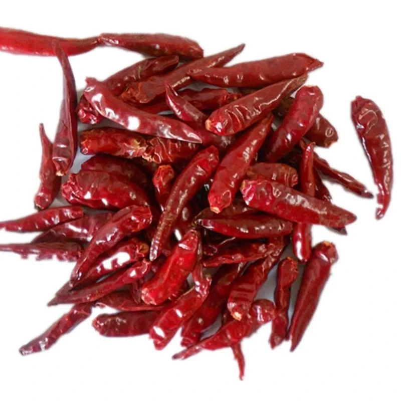 Capsaicin in Chili Pods: Pain Relief Studies