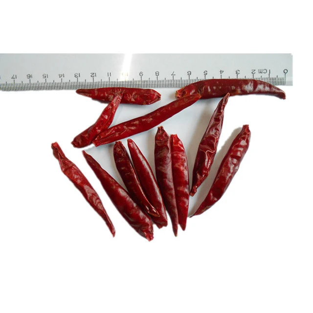 The Spicy Delight of Red Pepper Pods