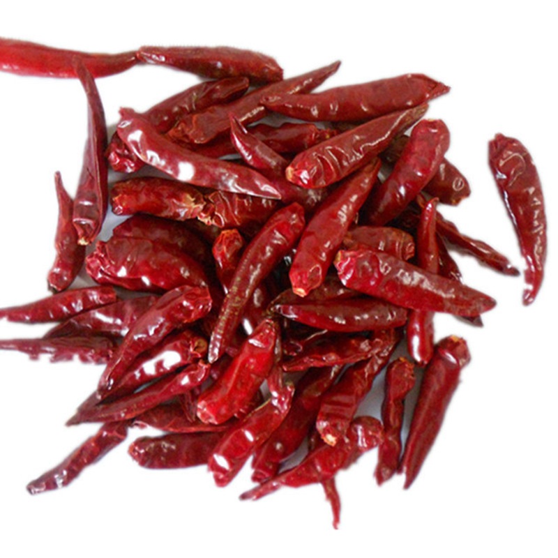 Dried Chili Pod | Sun-Dried Heat, Bold Aroma, Hand-Selected