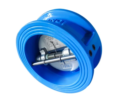 Duo Check Valves in High-Flow Applications