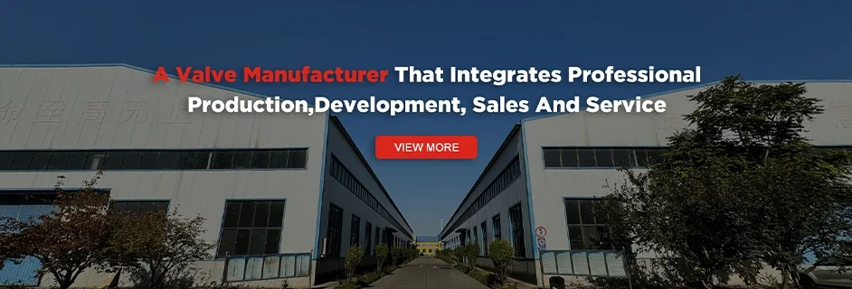 Read More About valve manufacturers